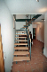 imm009_10